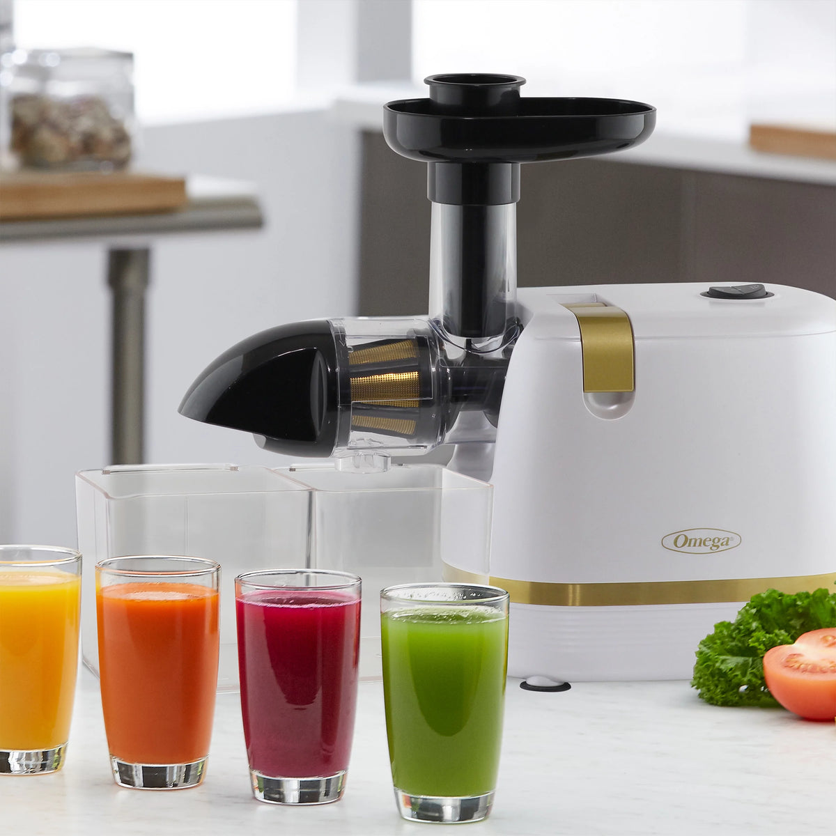 White Compact Masticating Juicer N125235