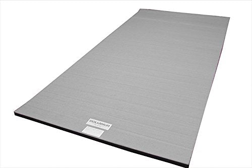 5'x10'x1-3/8" Carpeted Gymnastics Mat Z269