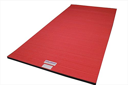 5'x10'x1-3/8" Carpeted Gymnastics Mat Z269