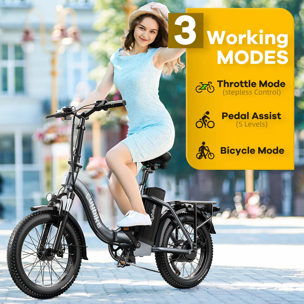 Electric Bike 750W Motor 20 Fat Tire 48V 15Ah Battery W340