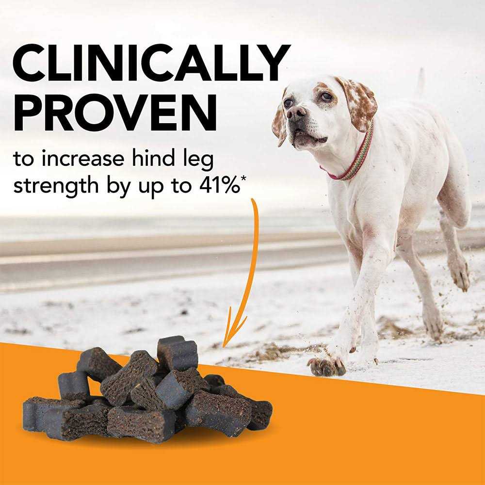 Dog Pet Supplies B2348
