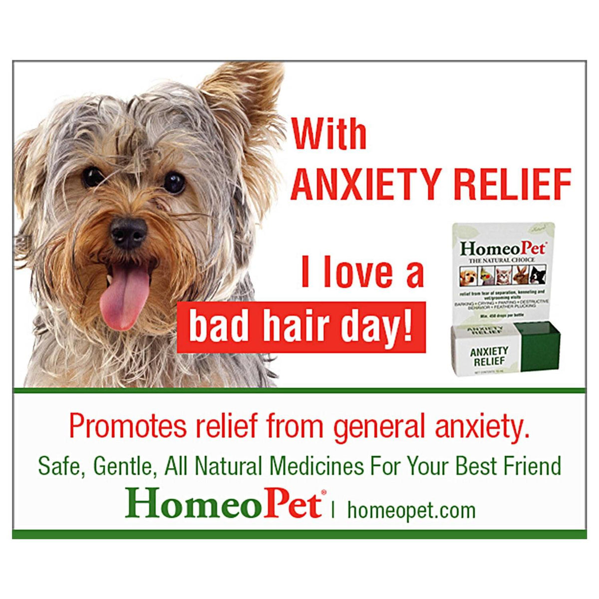 Anxiety Relief X8939