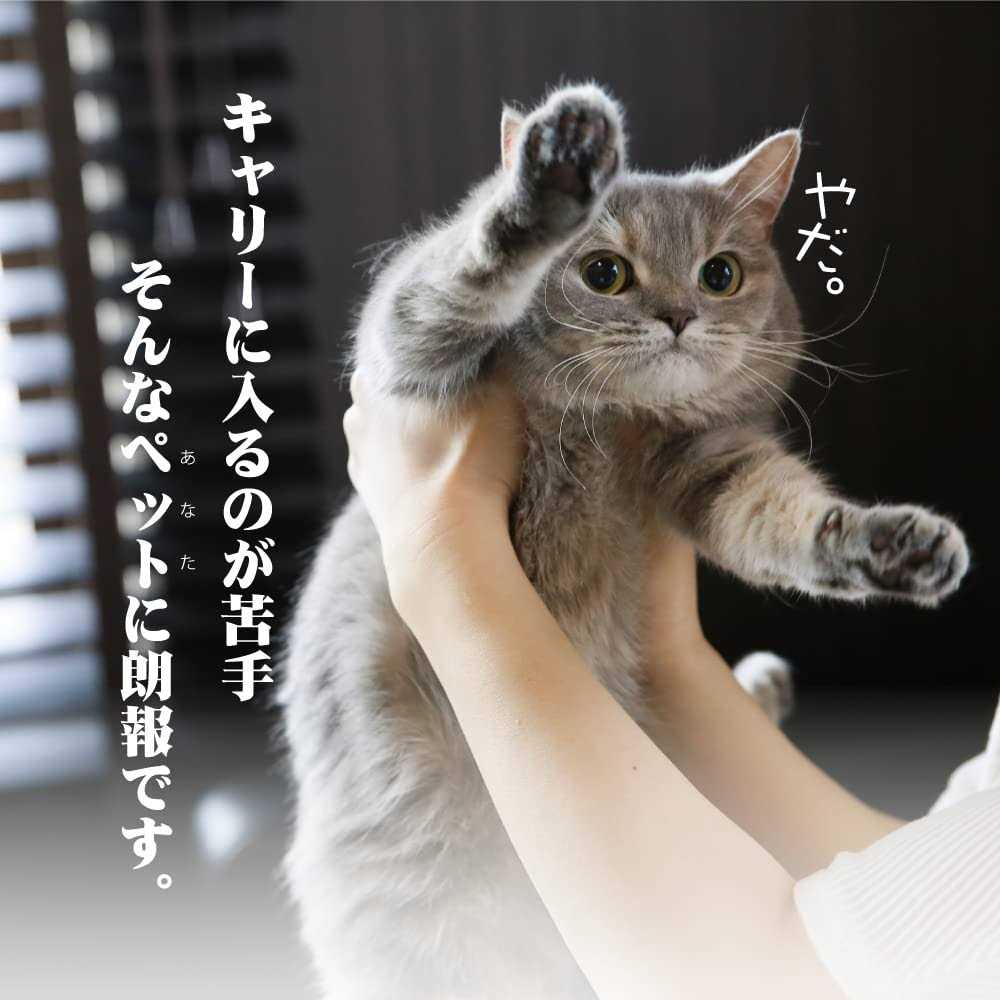 Cat Carrier with Drawer C851560