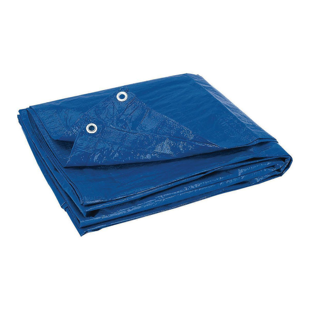 Blue Weather-Resistant Tarp Z922830