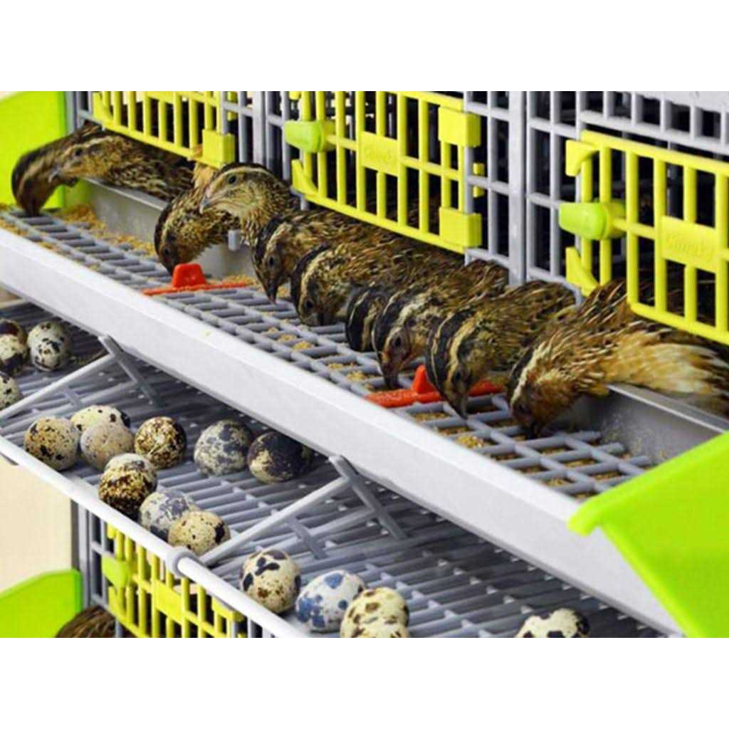 3 Layer Stackable Quail Breeding Cage H639421