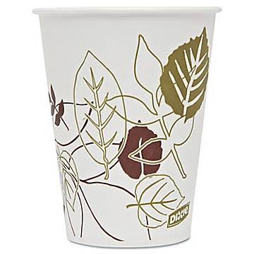 Polycoated Paper Cold Cup (Set of 2400) J841723