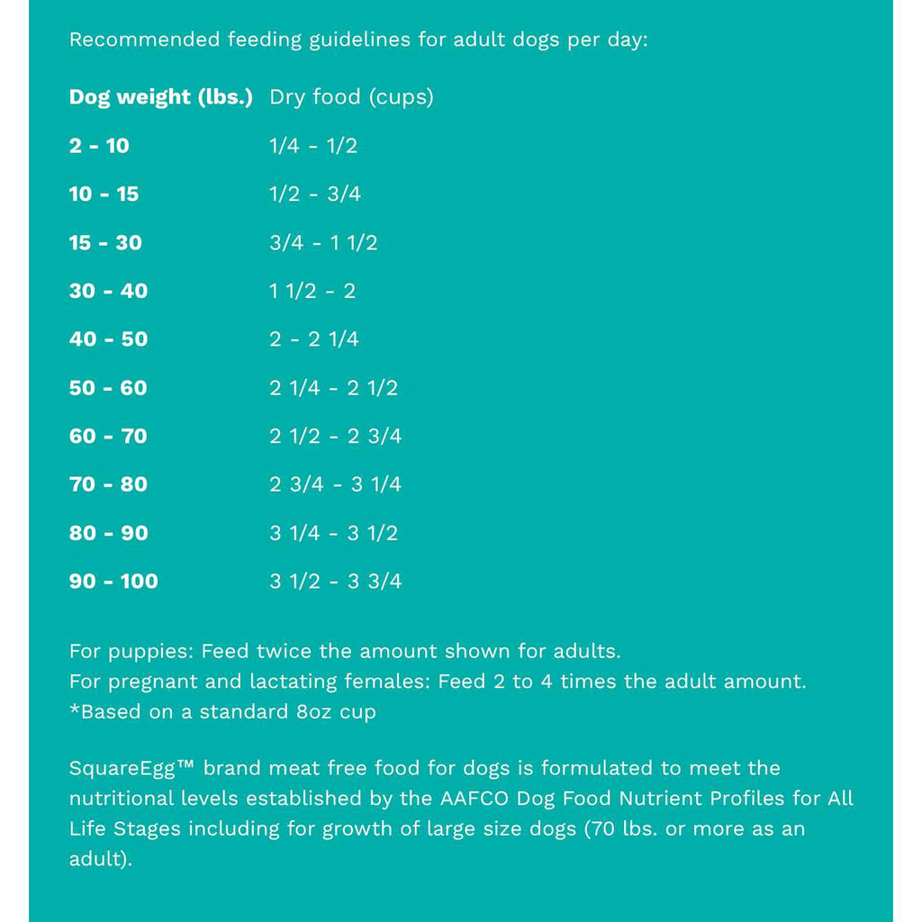 Meat Free Dry Dog Food Y35912