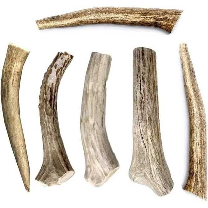 All Natural Whole Deer Antler Dog Chew Treats C144811