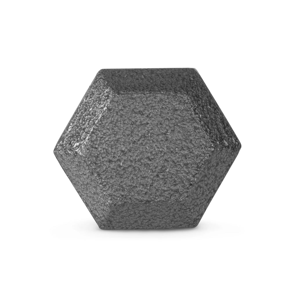 25lb Cast Iron Hex Dumbbell X1632