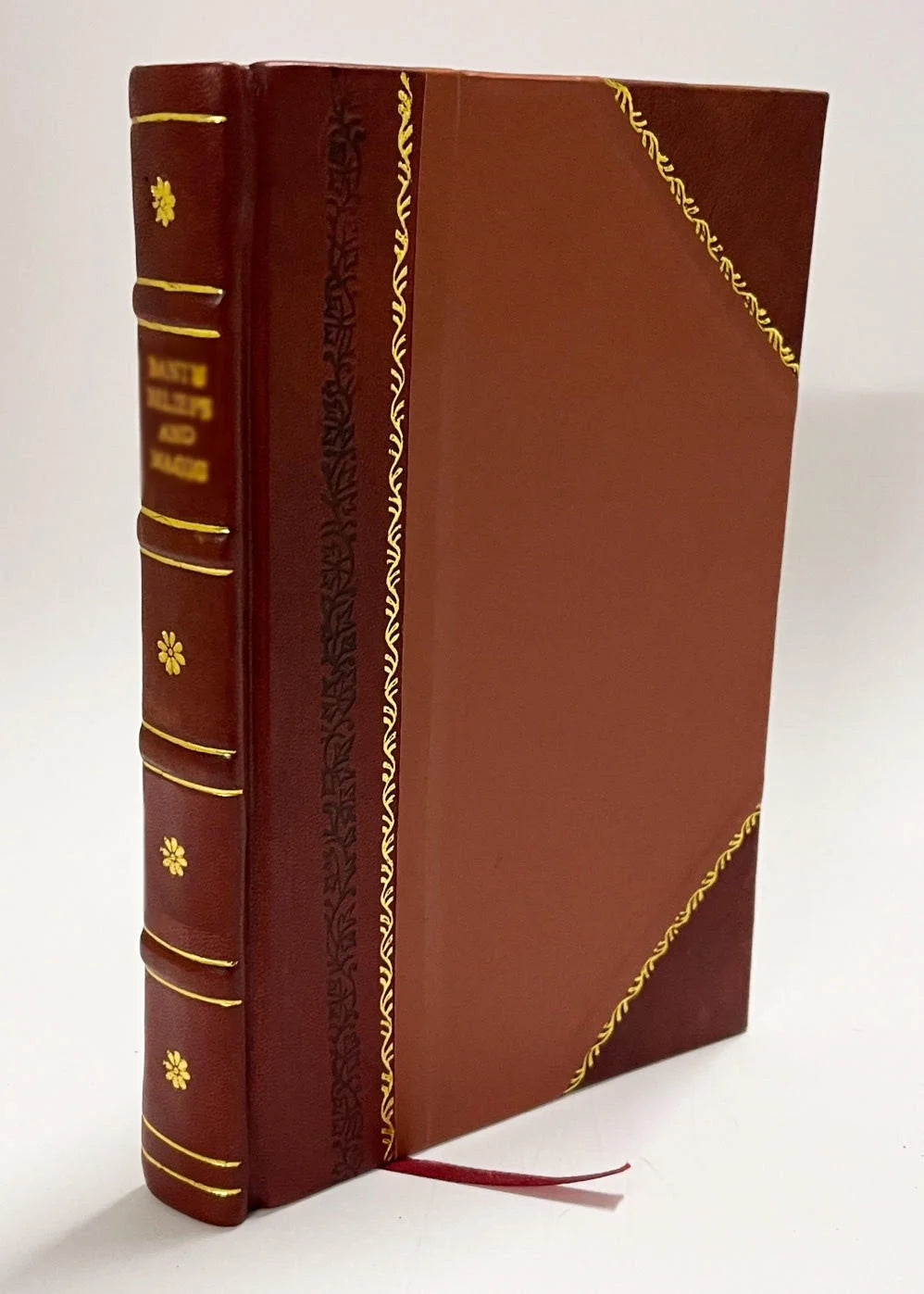 Leather Bound Book D496