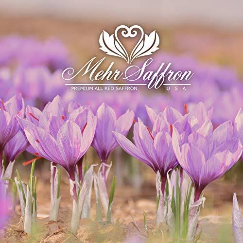 1 oz (28 Gram) All Red Saffron Y859