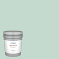 5-Gallon Exterior Paint P11575