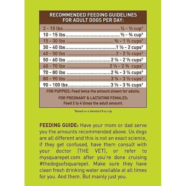 Meat Free Dry Dog Food Y35912