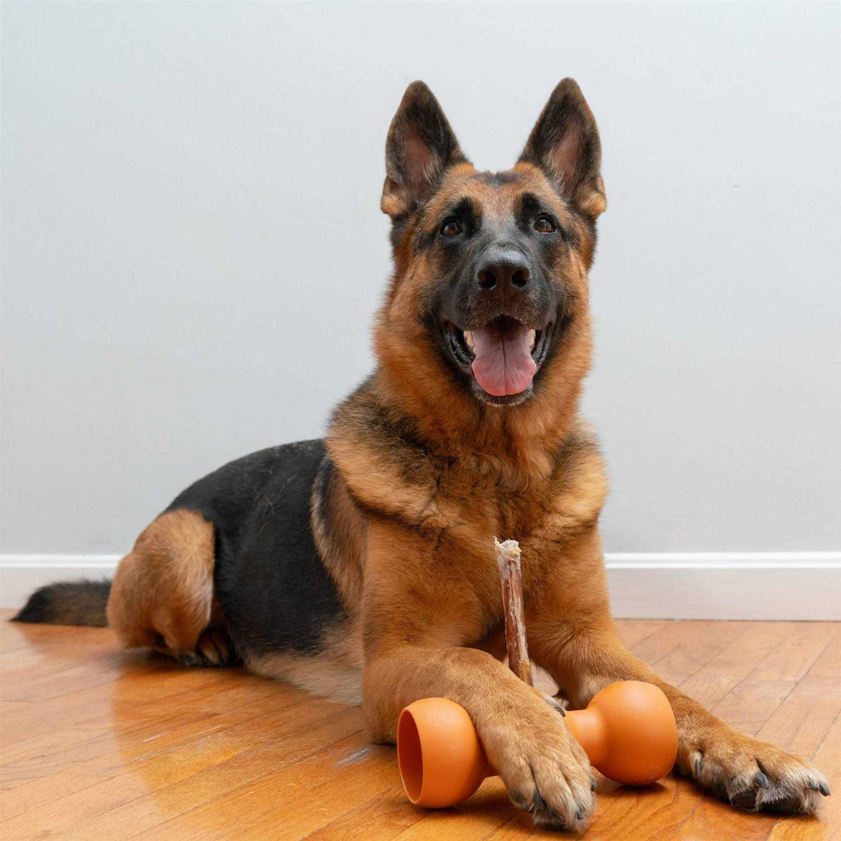 Pet Supplies H94995