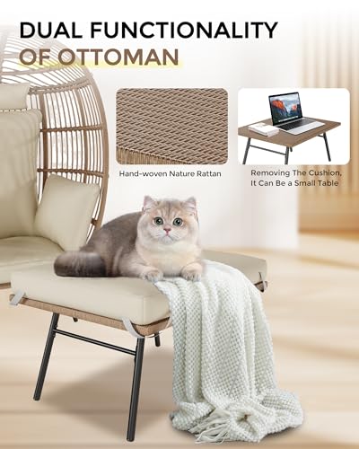 Grey Wicker Egg Chair with Ottoman G8630