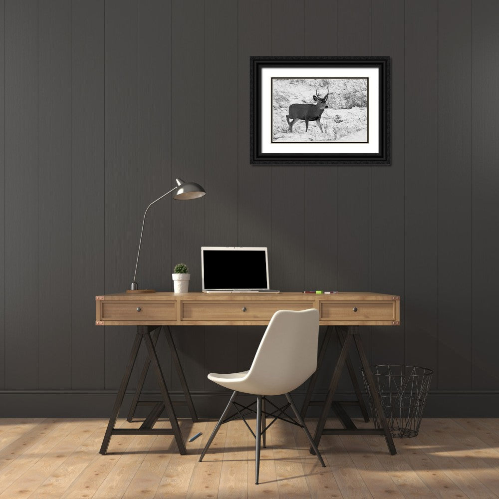 Black Ornate Wood Framed Museum Art Print Q2782