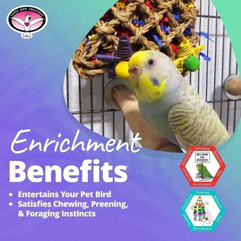 Pet Supplies L642