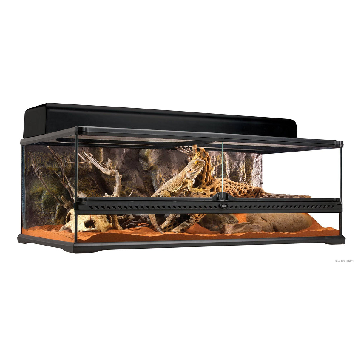 Glass Terrarium 36x22 L x 18x22 W x 12x22 H D947908