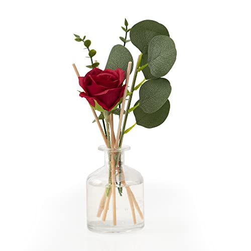 Red Reed Diffuser X16655