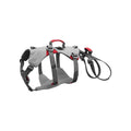 Doubleback Harness S4692