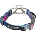 Patterned Reflective Chain Martingale Dog Collar K137295