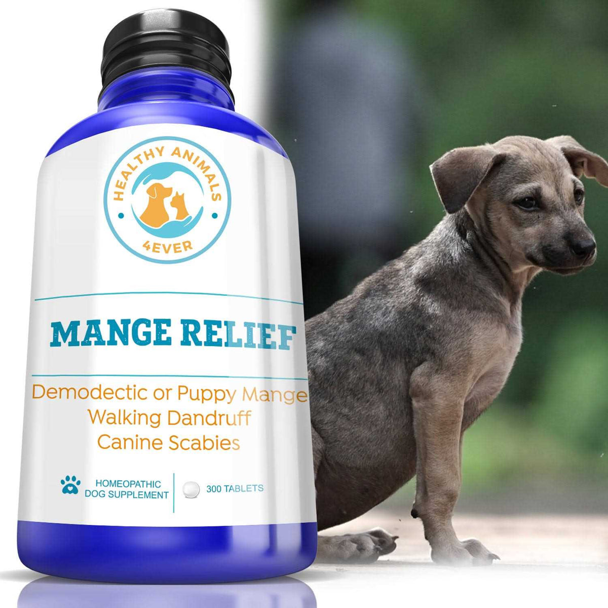 Dog Itchiness Relief Treatment R182