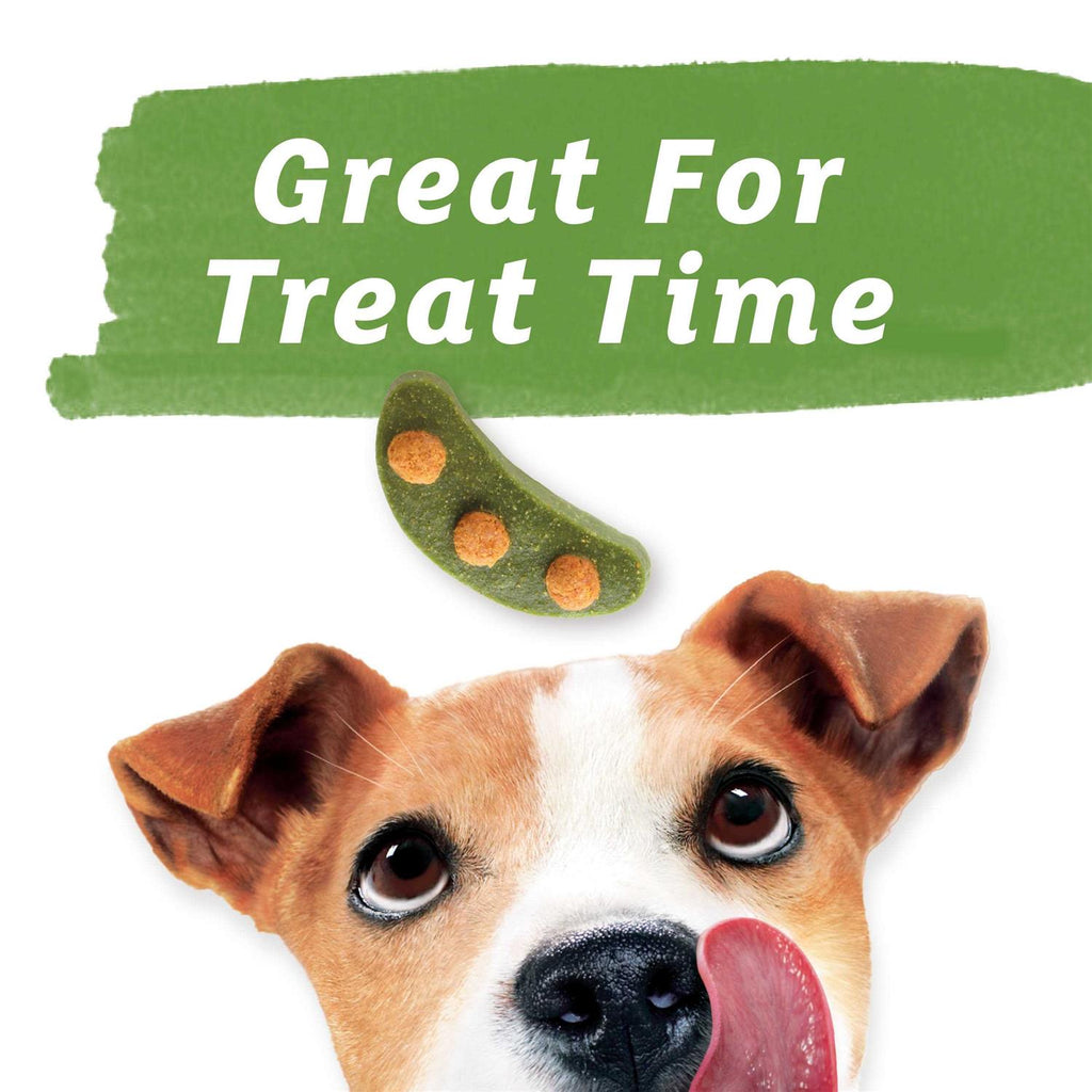 Dog Treats Z912892