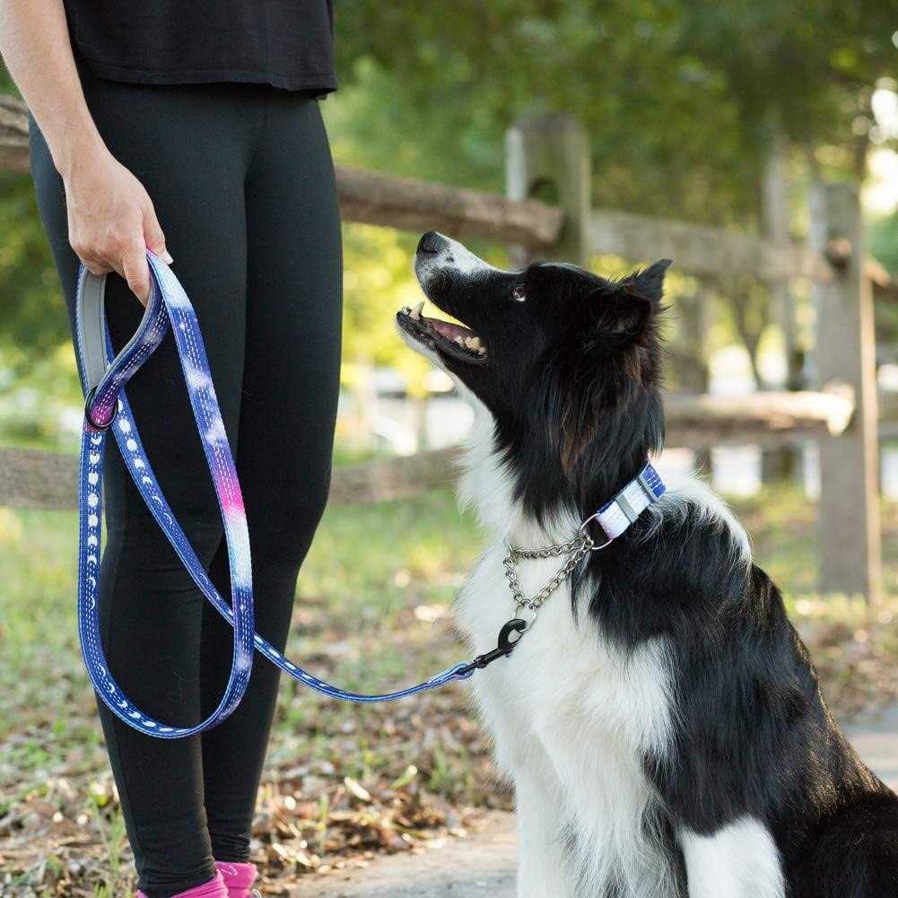Patterned Reflective Chain Martingale Dog Collar K137295