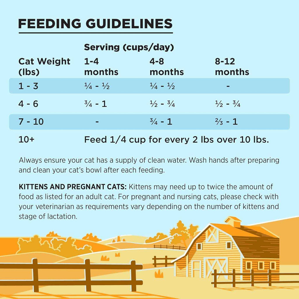Chicken Recipe Dry Cat Food O304066