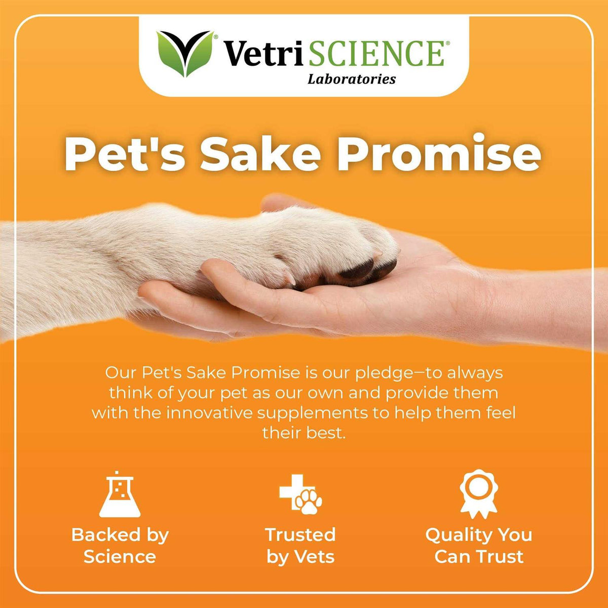 Dog Pet Supplies B2348