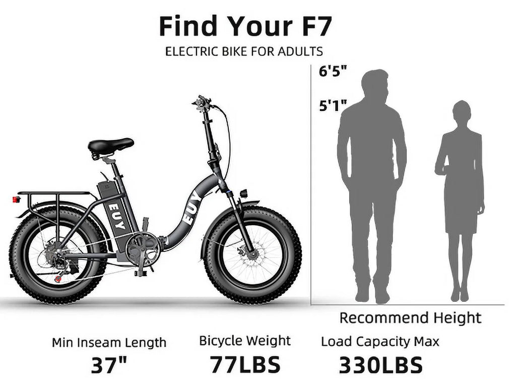 Electric Bike 750W Motor 20 Fat Tire 48V 15Ah Battery W340