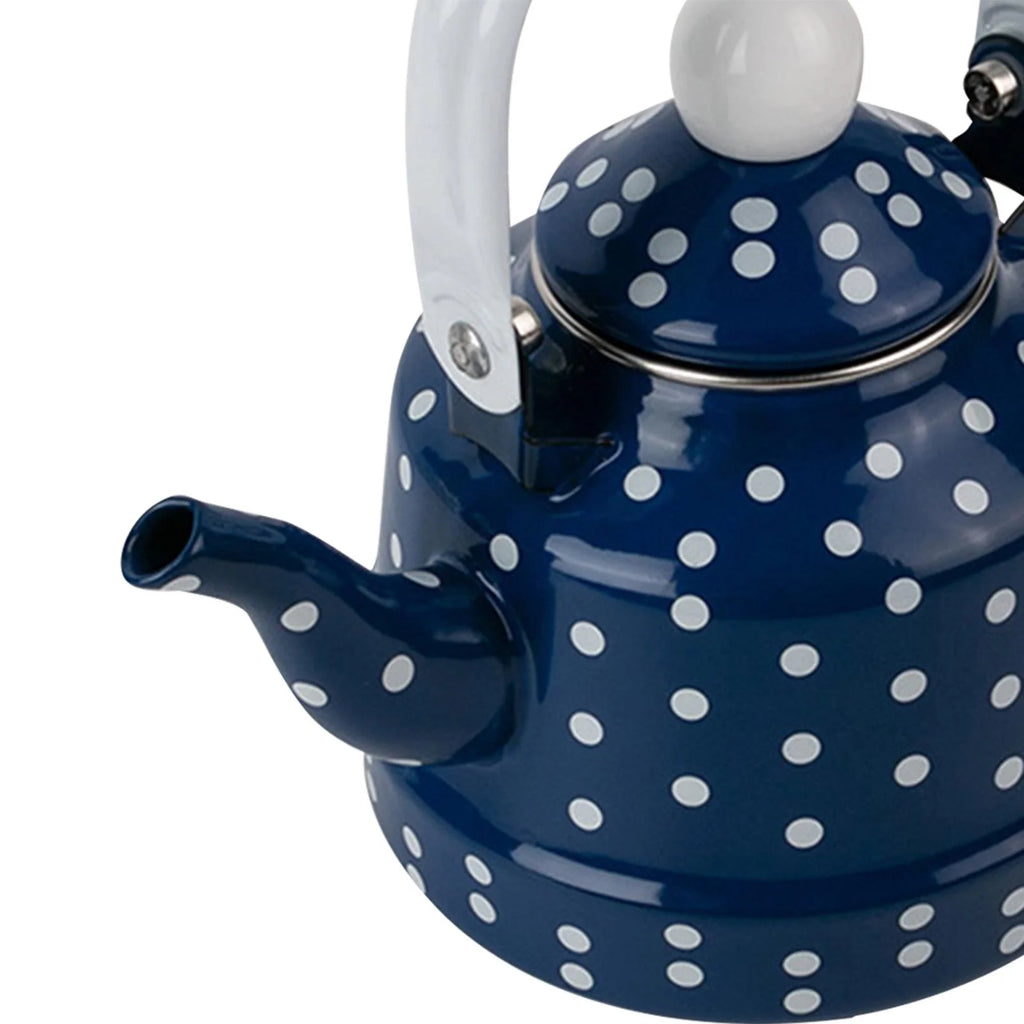 Blue Enamel Heating Water Kettle M1849