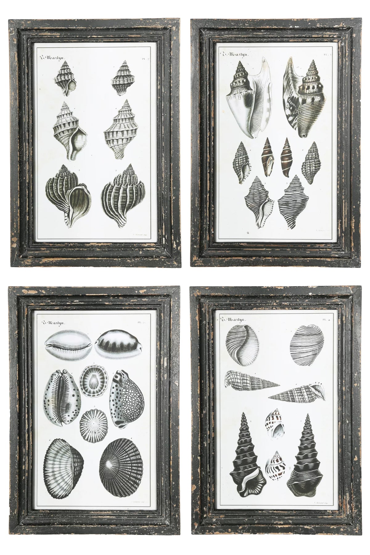 Wood Wall Art Distressed Painted Finish Gray F508