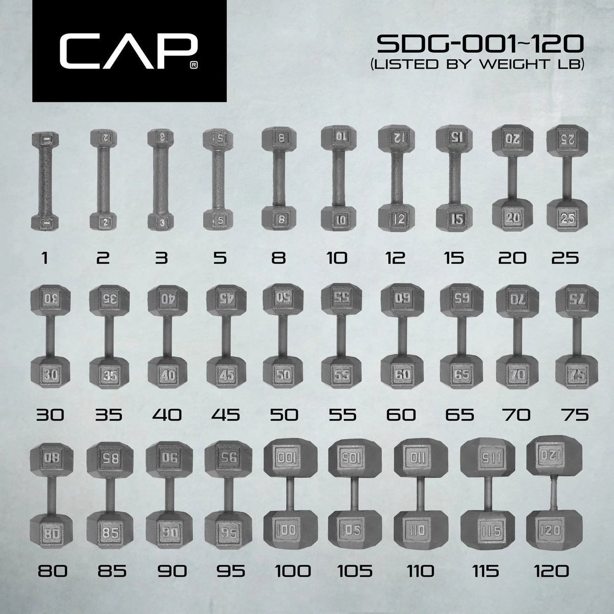 25lb Cast Iron Hex Dumbbell X1632