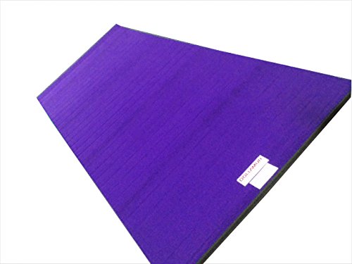 5'x10'x1-3/8" Carpeted Gymnastics Mat Z269