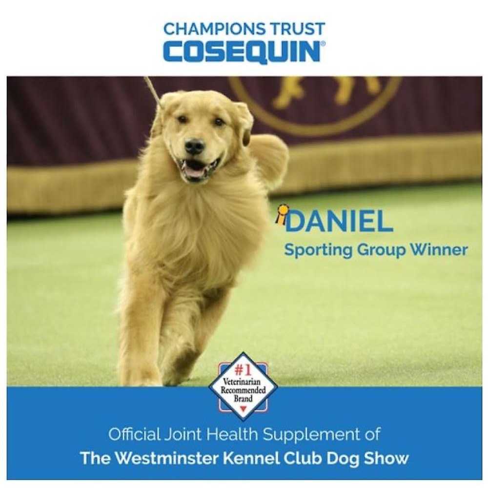 Dog Joint Health Supplement F136478