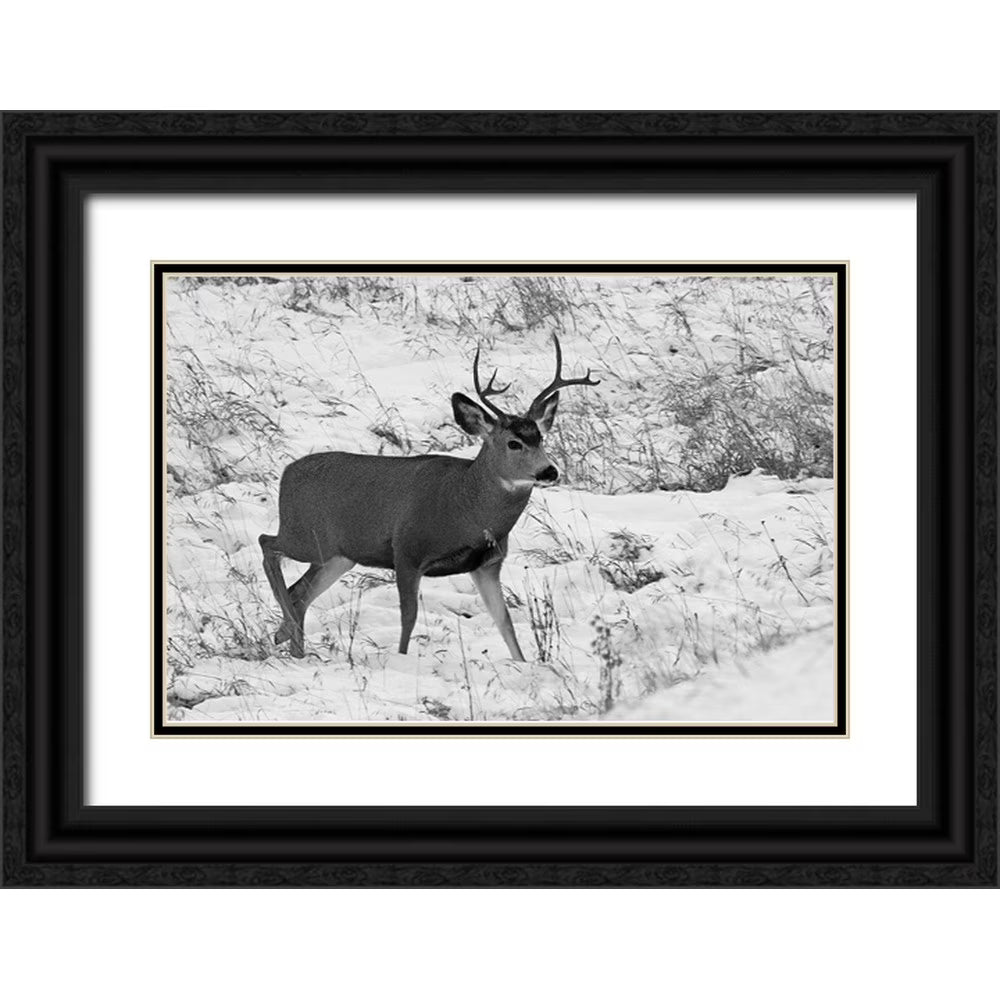 Black Ornate Wood Framed Museum Art Print Q2782