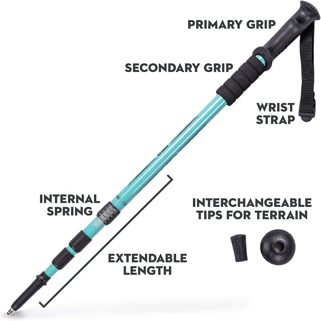 Aluminum Trekking Pole with Interchangeable Tips Q7482