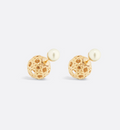 Earrings L4972