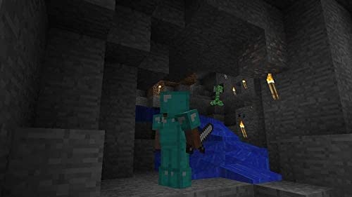Minecraft Nintendo Switch E511
