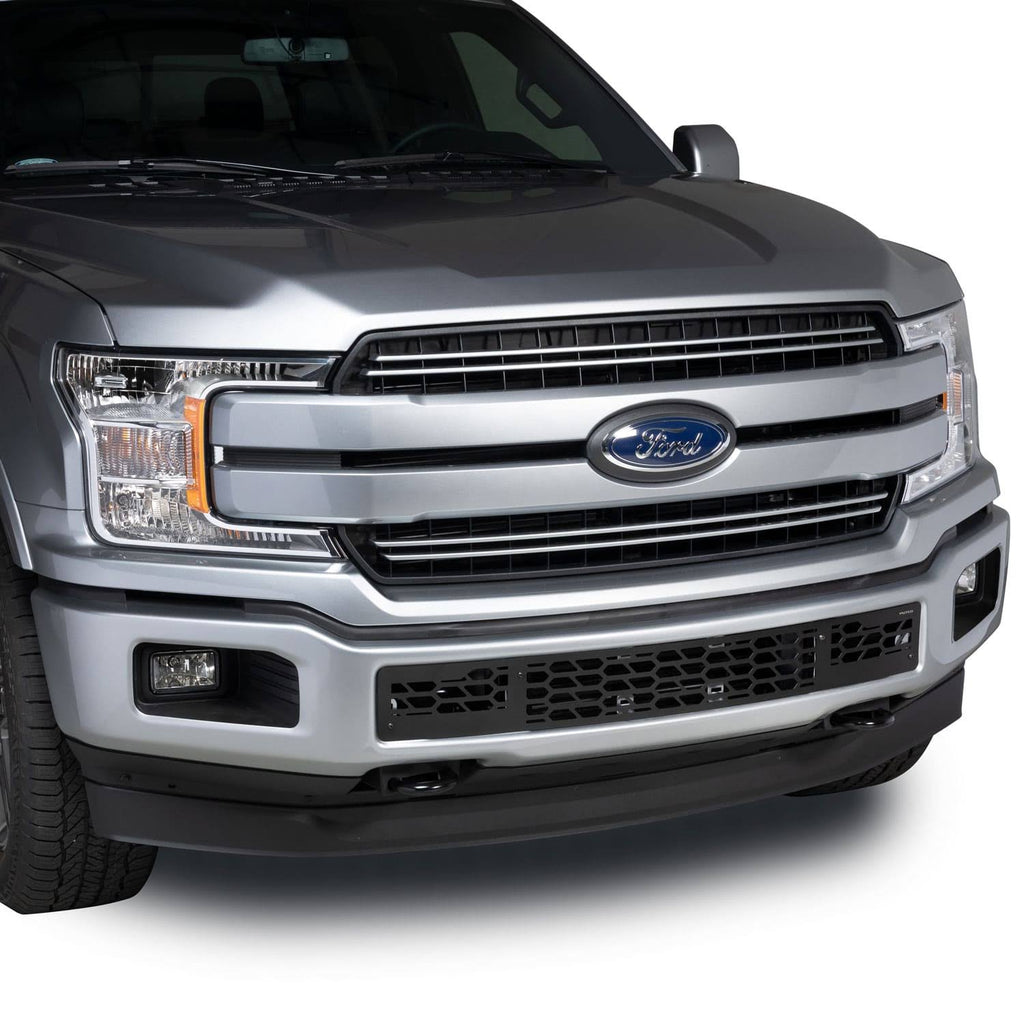 Bumper Grille Insert Y625098