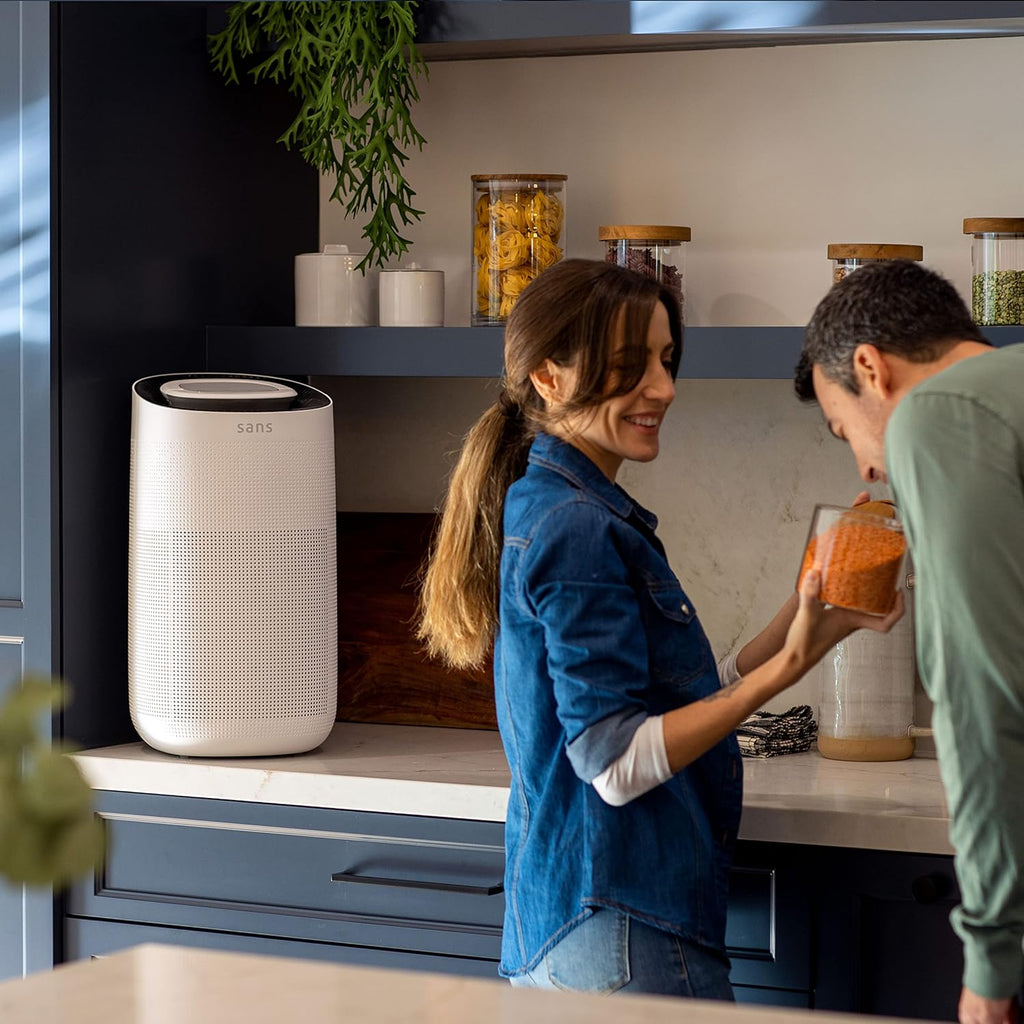 HEPA 13 Air Purifier with Activated Carbon and UV-C Light Q65650