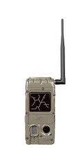 Dual Flash Camera J435870