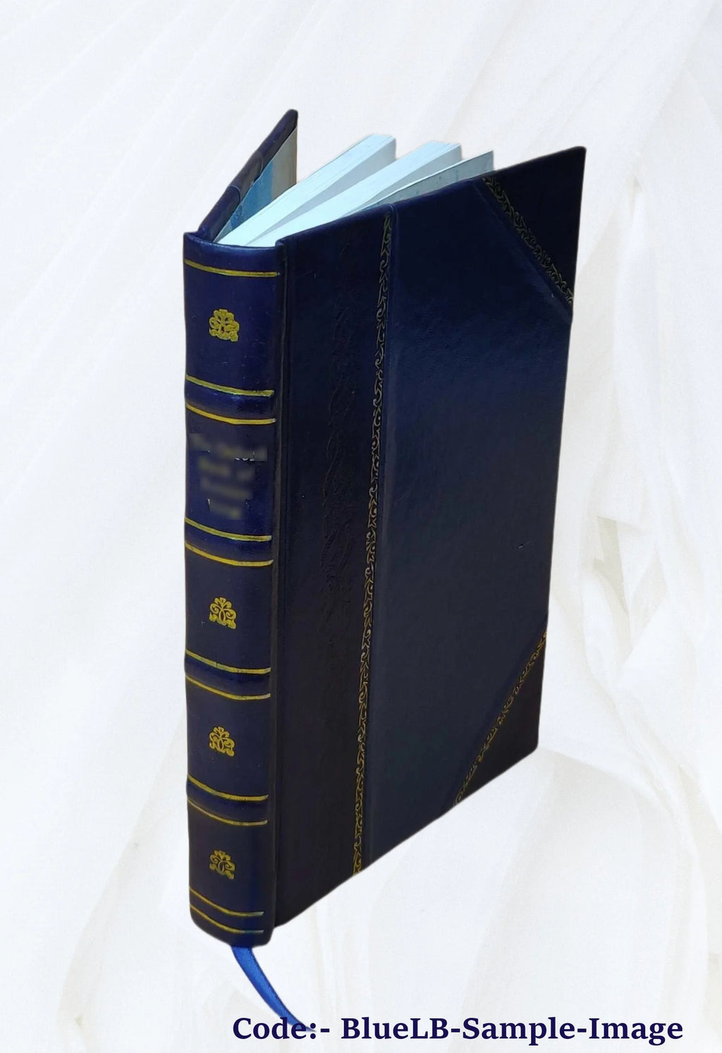 Leather Bound X219167
