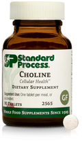 Choline 90 Tablets N354