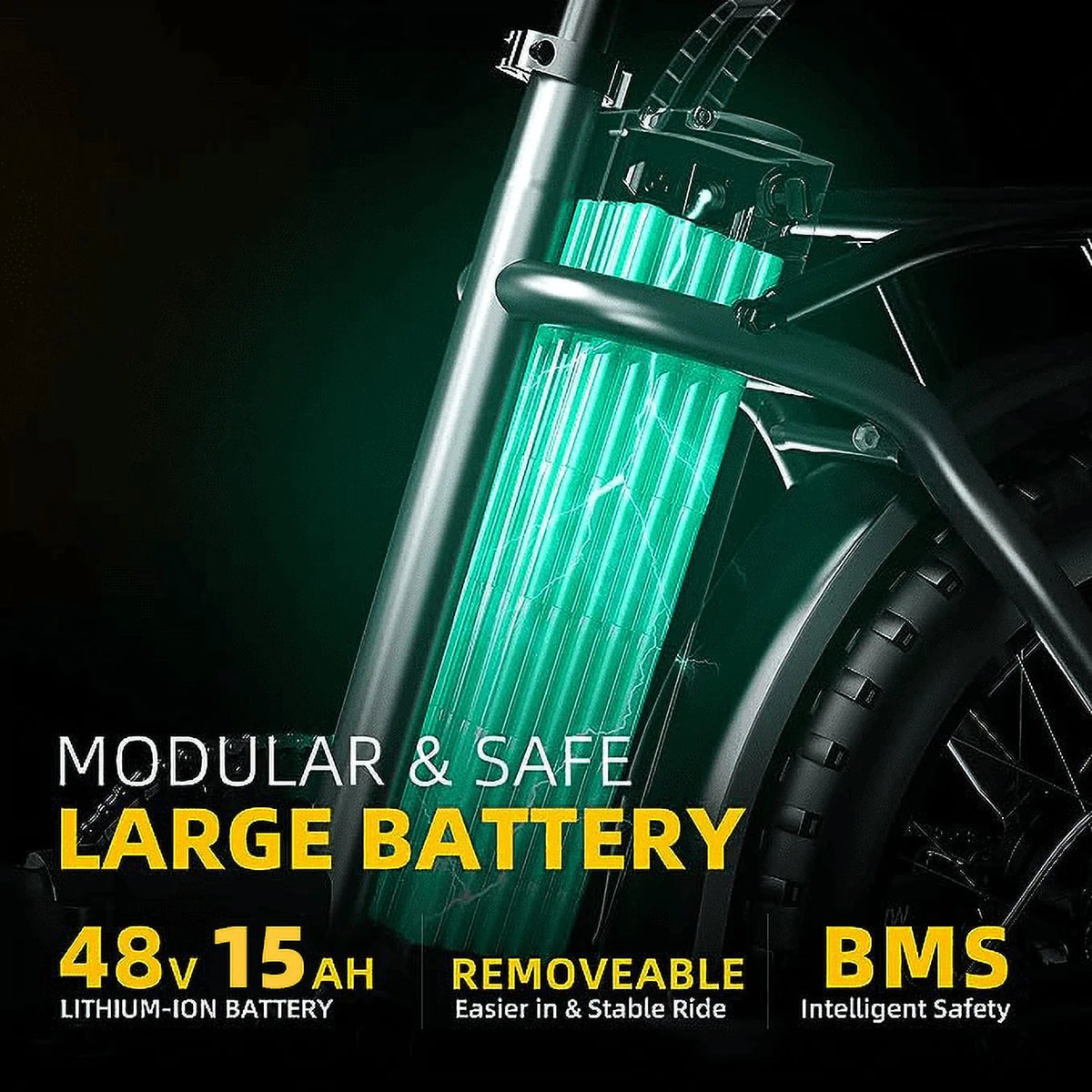 Electric Bike 750W Motor 20 Fat Tire 48V 15Ah Battery W340