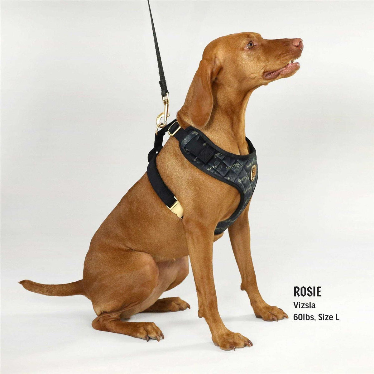 Quilted Pet Harness O260