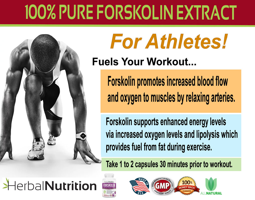 Pure Forskolin Extract 250mg 20% Coleus Forskohlii 90 Ct N232