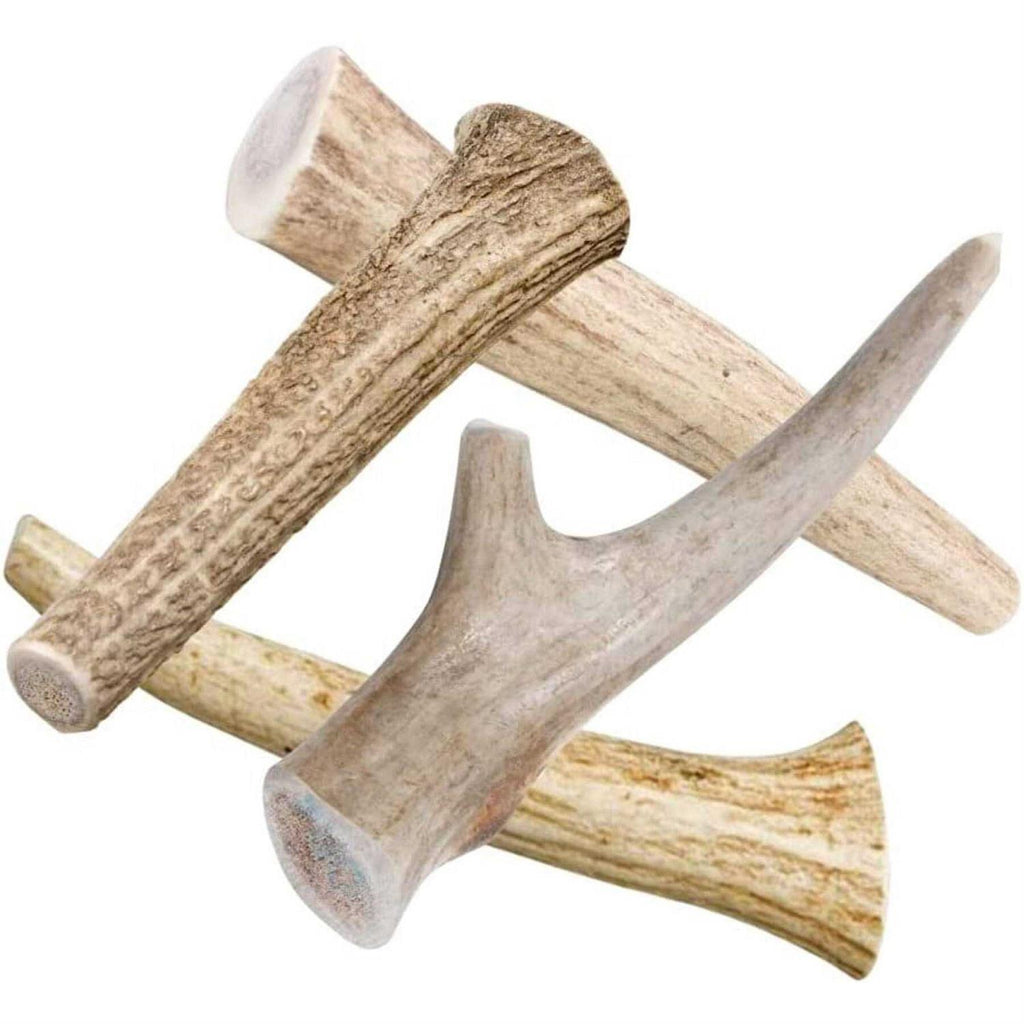All Natural Whole Deer Antler Dog Chew Treats C144811