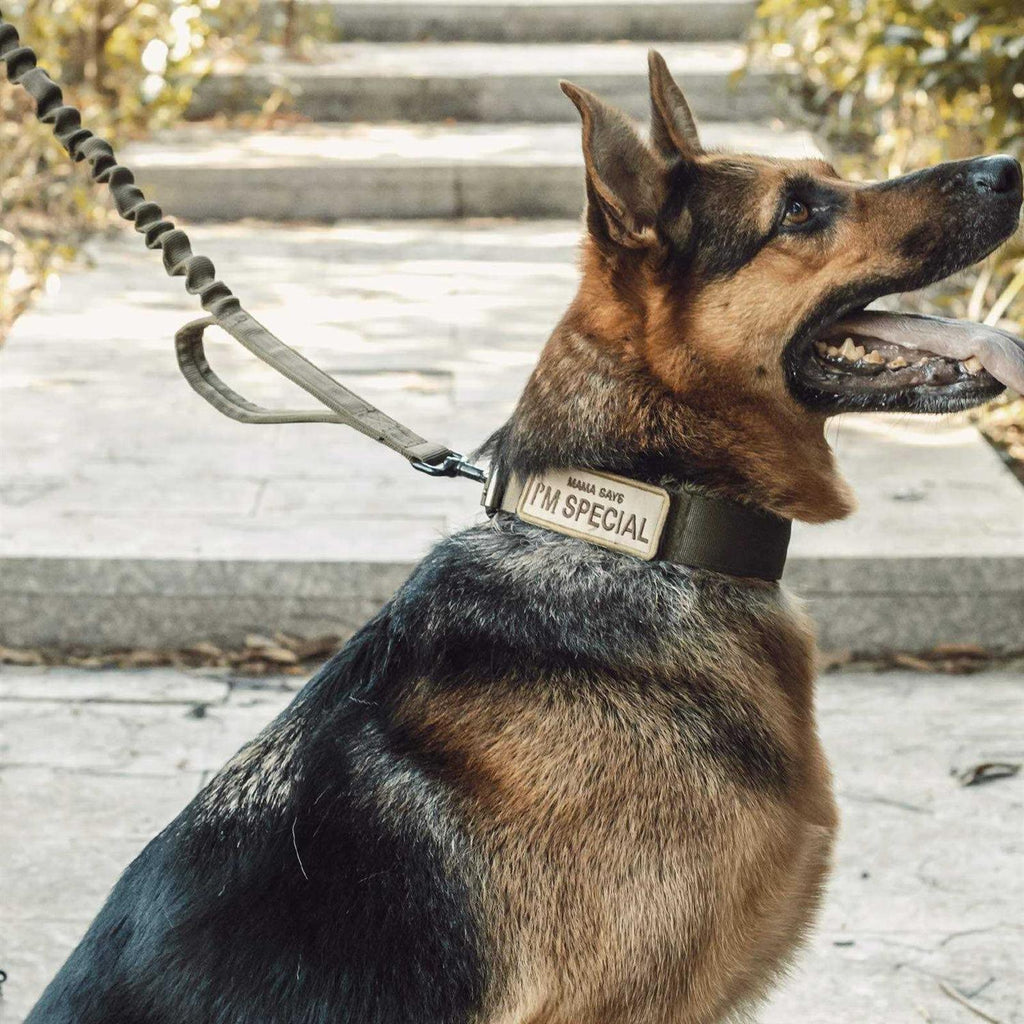 Tactical Dog Training Bungee Leash with 2 Control Handle Quick Release Nylon C1750
